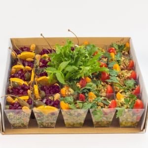 Pancarlı Kinoa Salatası ve Bakliyat Salatası - 24 adet